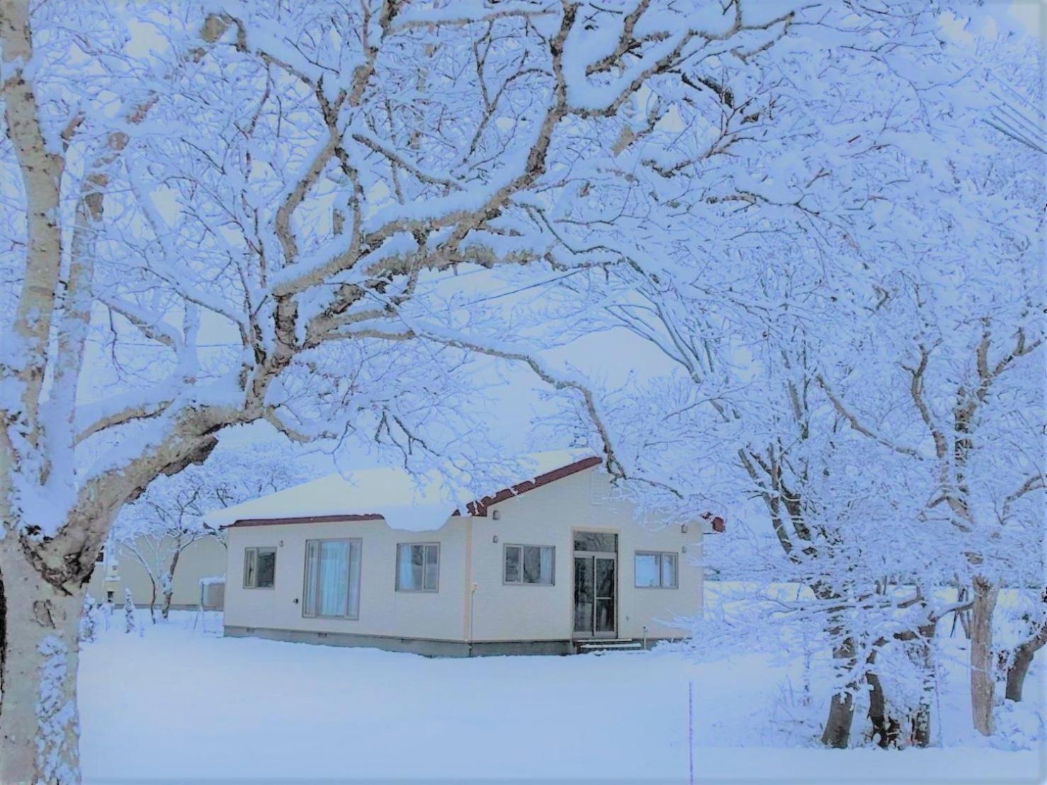 農家民泊せたな牛ハウス Guest House Setana Exterior photo